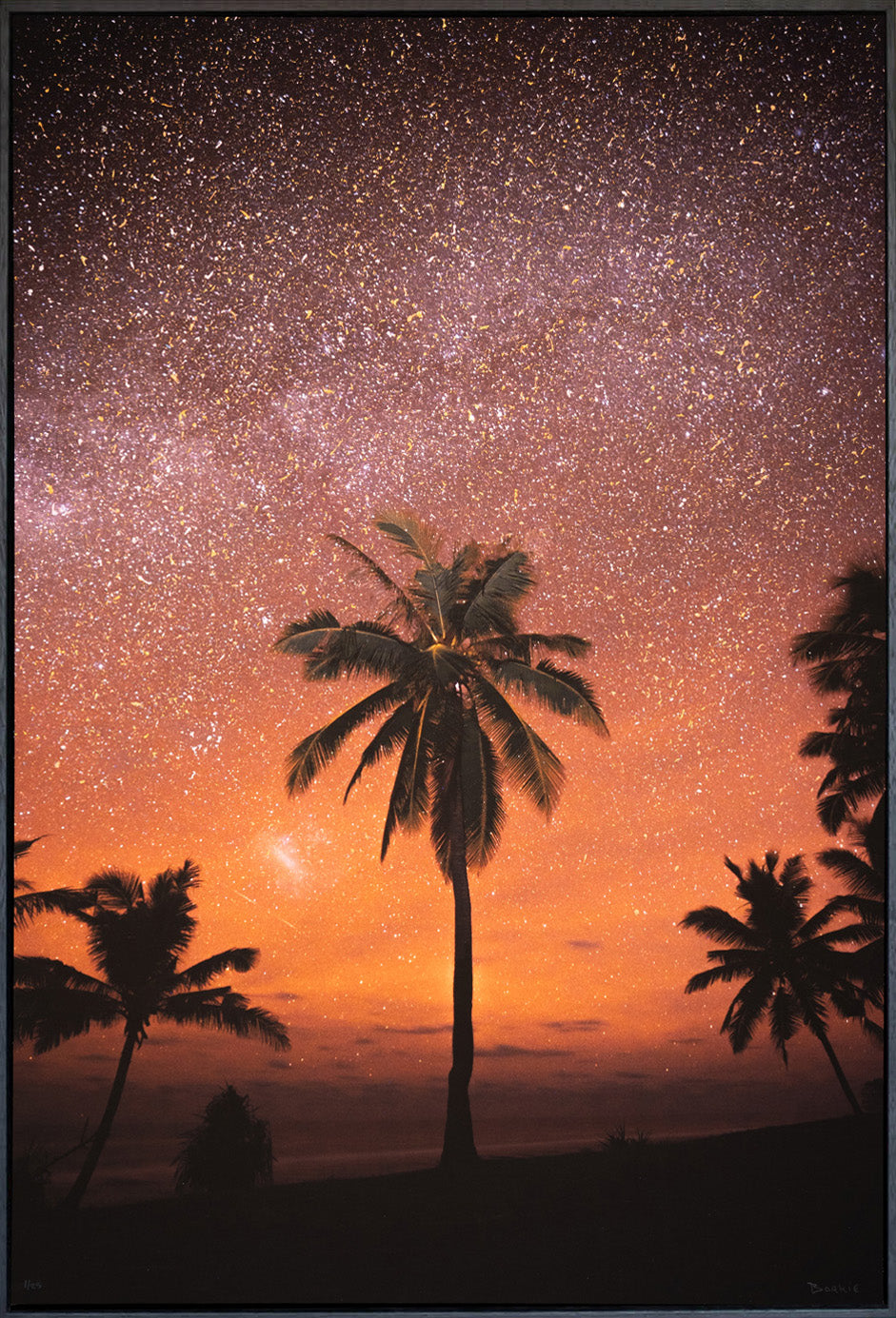 Elements of Life