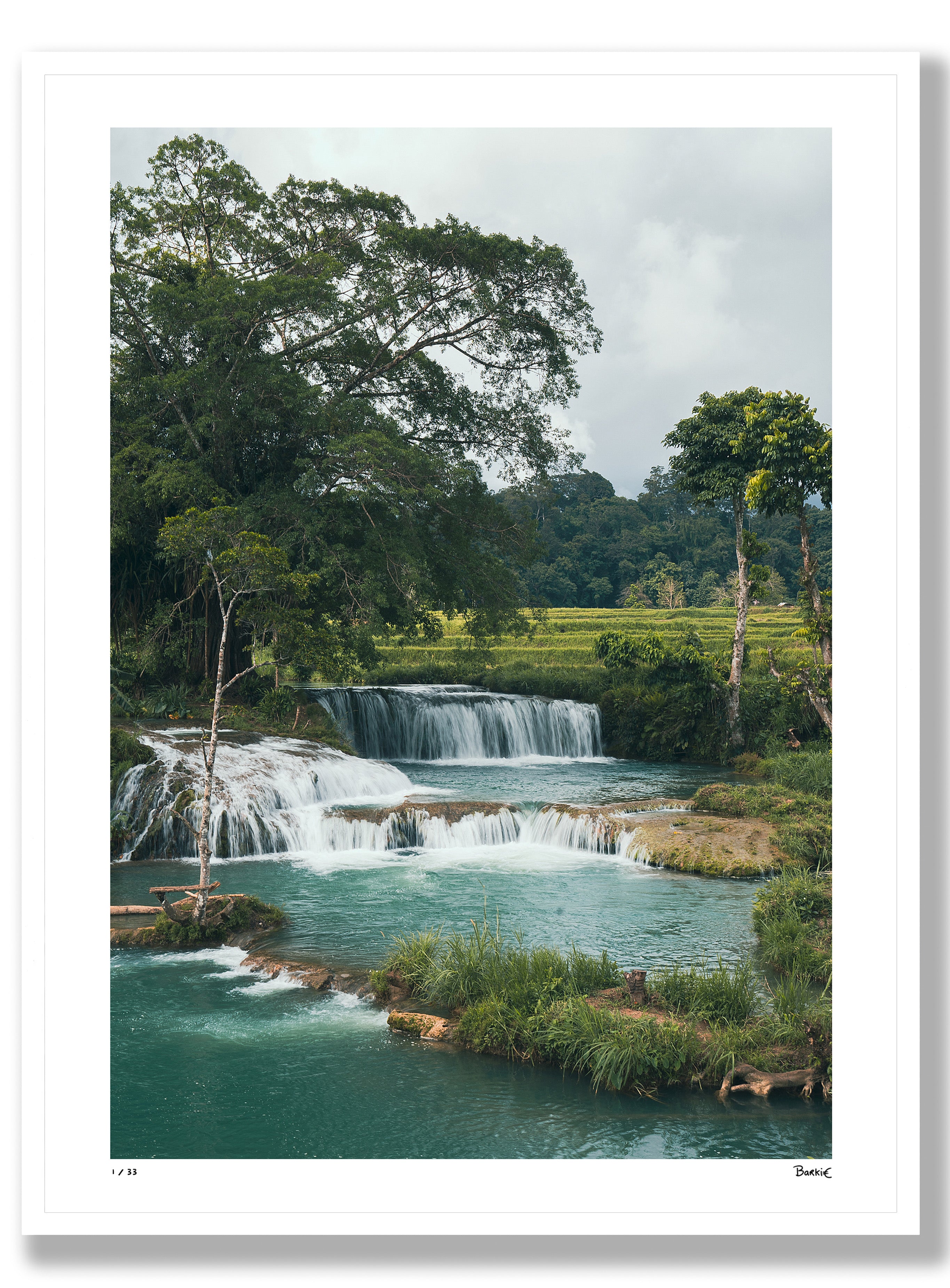 Waterfall in Ricefield