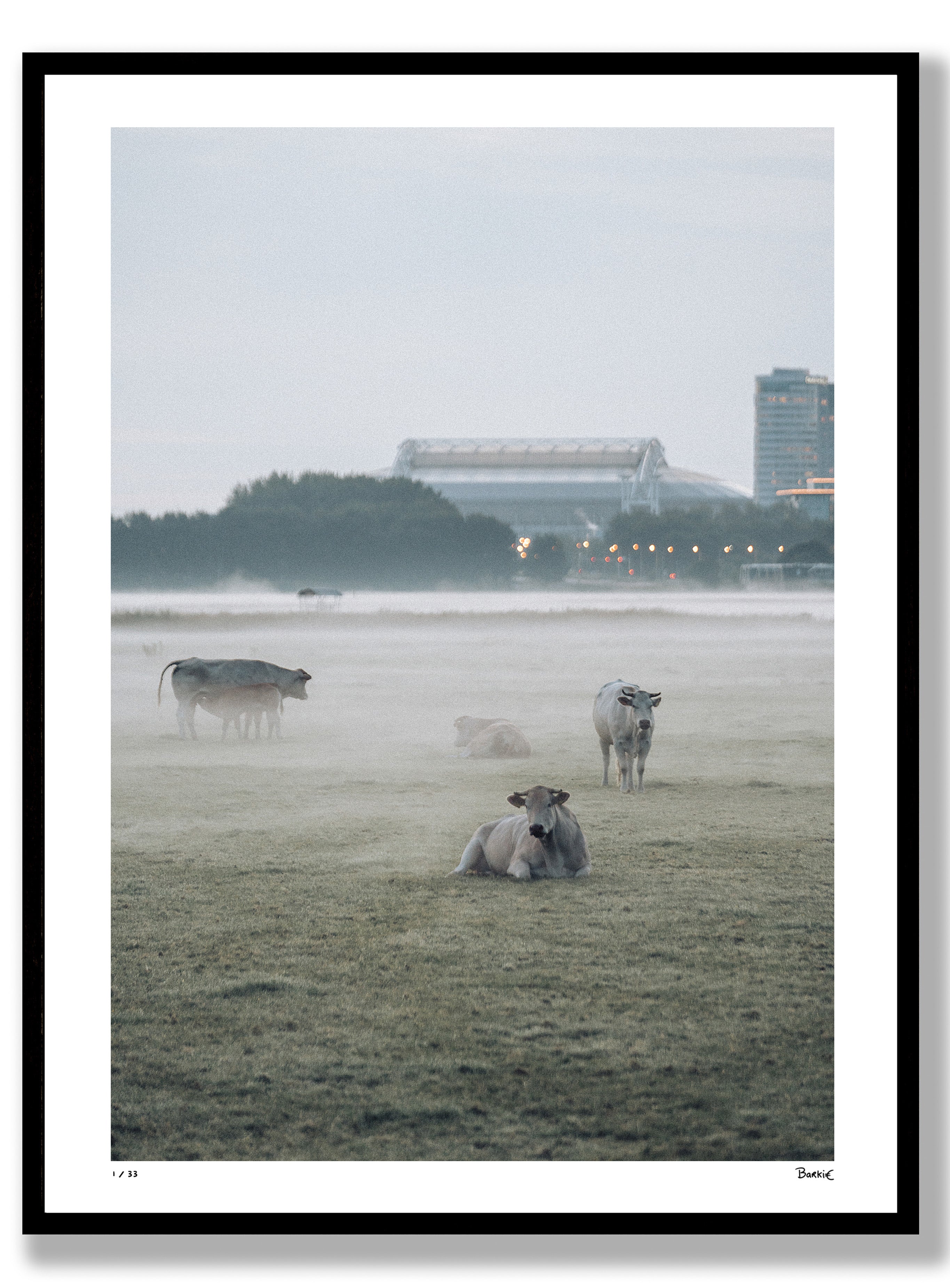 De morgenstond heeft goud in de mond