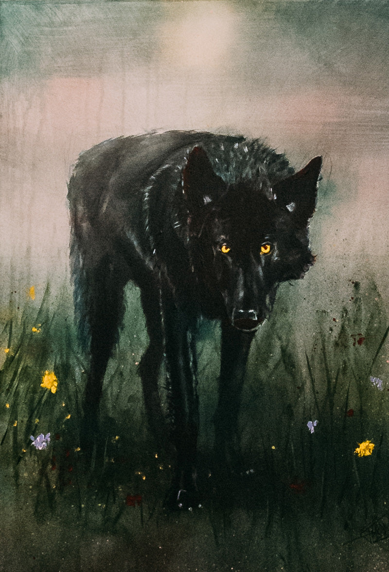 Black Wolf (MISFIT?)